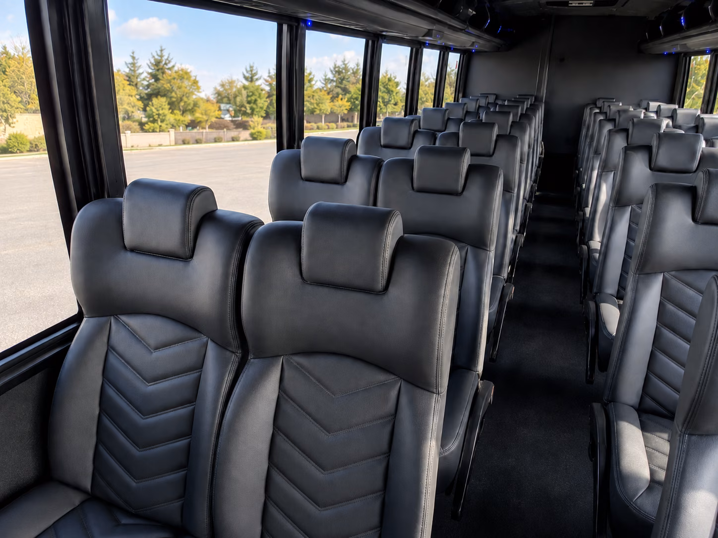 minibus rentals for local north port field trips to warm mineral springs